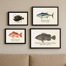 Image result for Hyporthodus quernus