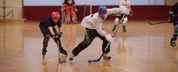 Image result for Glasgow Vipers Roller Hockey Club