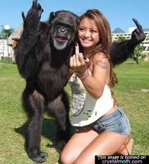 images?q=tbn:ANd9GcTi5Uxz6W5HKW5LLNM9Y-NIWE5ZH8npIib_RGx5qWSnhUEBRiC2yg