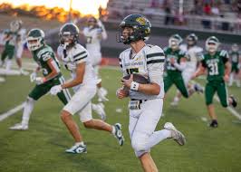 Image result for Ukc Falcons