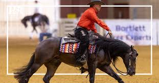 Image result for Palmers Riding Stables