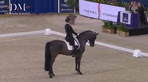 Image result for Interfreestyle Sport Karate