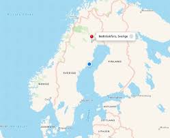 Attēlu rezultāti vaicājumam “Populus x lettland”