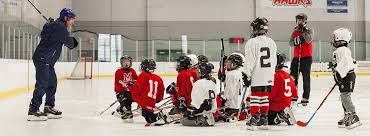 Image result for Adur Skater Hockey Club