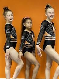 Image result for Gymmagic