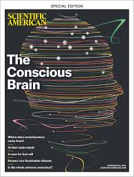 Image result for consciousness