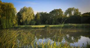 Image result for Horton Park Golf & Country Club