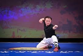 Image result for BARNET and WHETSTONE CHANGQUAN FLYING DRAGON