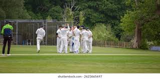 Image result for Mayfield Cricket Club