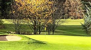 Image result for Elgin Scrabble Club