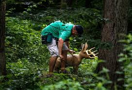 Image result for Panther Bowhunters Field Archery Club