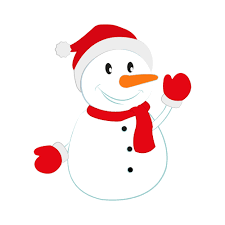 Image result for Schneemann