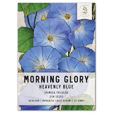 Image result for Ipomoea Heavenly Blue