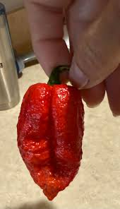 Afbeeldingsresultaat voor red fratali hot pepper