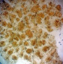 Attēlu rezultāti vaicājumam “Lycogala fuscoolearium”