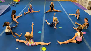 Image result for Gym Stars