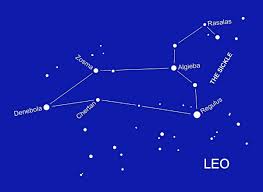Image result for Leo Twirlstars