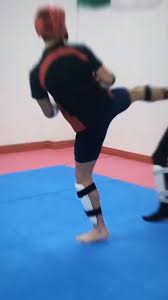 Image result for Utf Taekwondo Cymru Cardiff