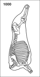 Image result for media res