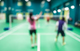 Image result for Acton Badminton Club