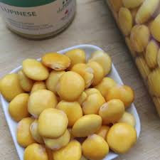 Image result for Lupinen