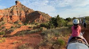 Image result for Old Park Riding Stables