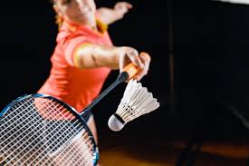 Image result for The Isle Badminton Club