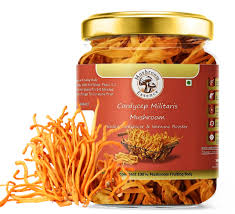 Attēlu rezultāti vaicājumam “Cordyceps militaris”