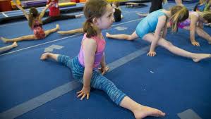 Image result for Phoenix Gymnastics