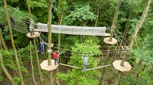 Image result for Go Ape! Grizedale