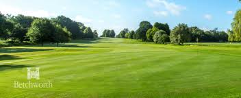 Image result for Betchworth Park Golf Club