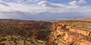 Image result for Dearne Valley Devils