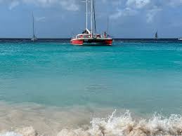 Image result for Harbour Lights Snorkelling Club (HLSC)