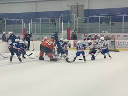 Image result for West Coast Wasps Skater Hockey Club