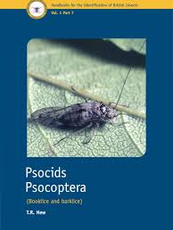 Attēlu rezultāti vaicājumam “Psocoptera”