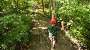 Image result for Green Lane Mountaineering Club, Surrey