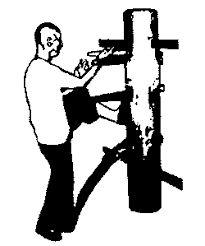 Image result for William Lai - Wing Chun Kung Fu