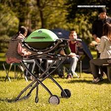 Image result for weber q200