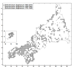 Attēlu rezultāti vaicājumam “Orthotrichum diaphanum sporophyte”