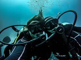 Image result for Exe To Sea Diving