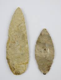 Image result for feuille-laurier-silex