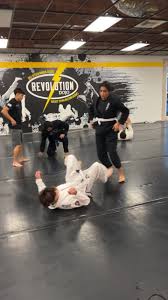 Image result for Revolution Dojo