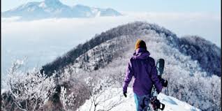 Image result for 水野X68仁義