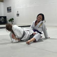 Image result for Team Renegade BJJ & Judo