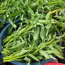 Attēlu rezultāti vaicājumam “Rorippa palustris fruit”