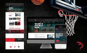 Image result for Spen Valley Vipers