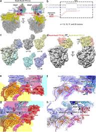 Image result for The 3E`s Ttc