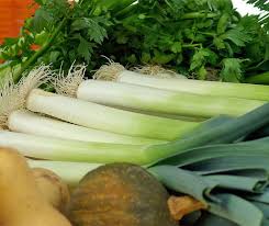 Image result for Porree