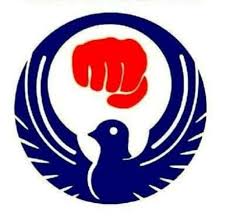 Image result for Farnham Kung Fu Club