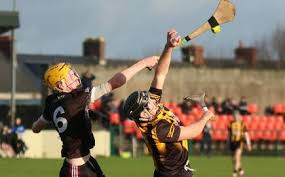 Image result for University Of Limerick Gaa Hurling Club
